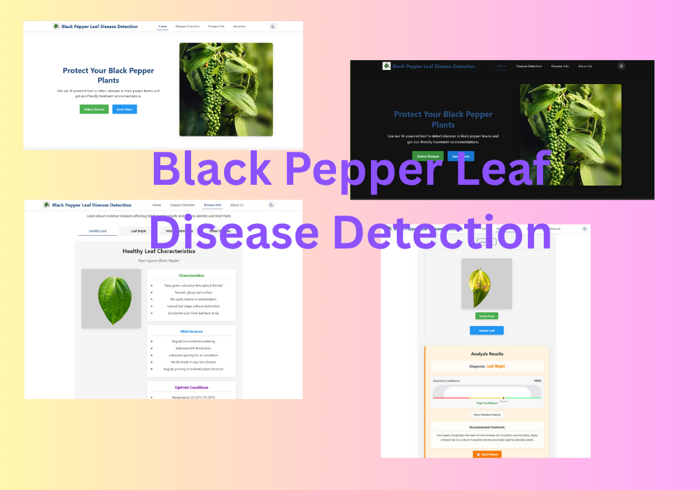 Black Pepper leaf Disease Detection